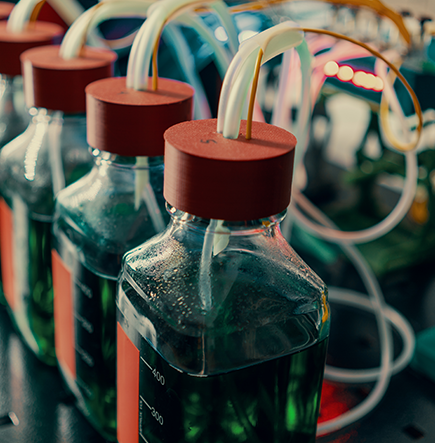 Les biocarburants de synthèse